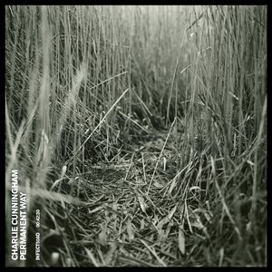 少妇与大猪ⅹⅩ
