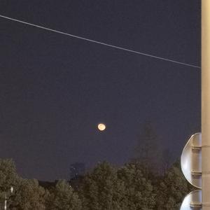 麻豆免费视频网站
