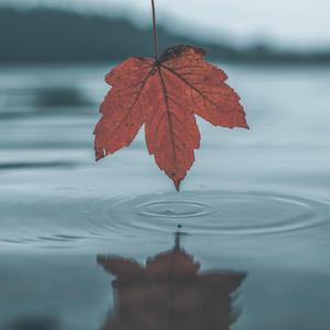 日本语性交色情故事
