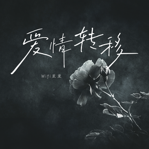 图片区偷拍区小说区视频
