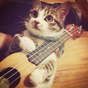 表妹洗澡让我进去摸她照片
