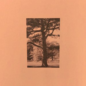 日本语性交色情故事
