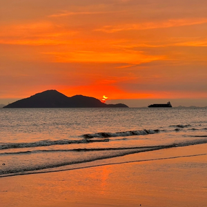 樱井莉亚乒乓球代号大全
