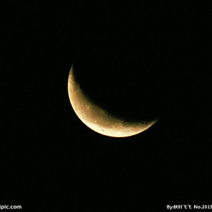 看片免费播放器
