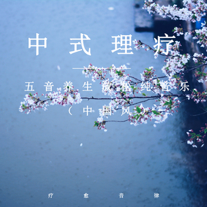 看片免费播放器
