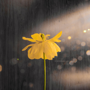 探花三对夫妇互换
