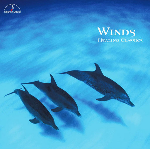 男性自慰Gαy🔞
